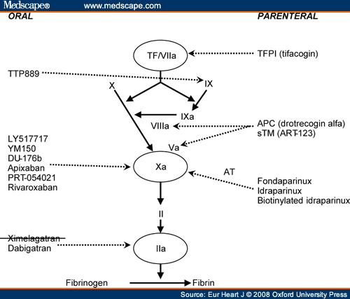 New Anticoagulants