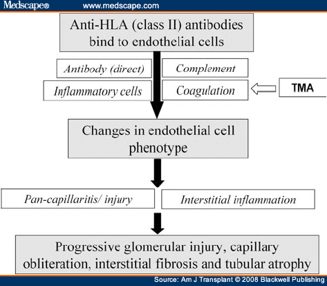 page Coagulation+cascade+ clotting pathway diagram. page Coagulation+cascade+