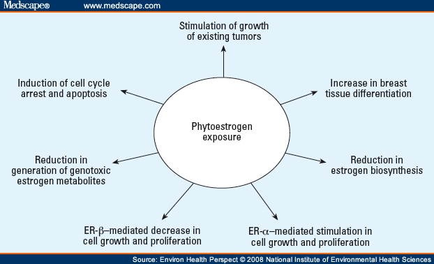 Phytoestrogens