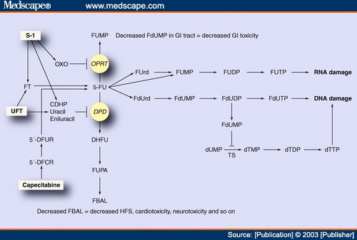 Capecitabine in the Treatment of Advanced Gastric Cancer