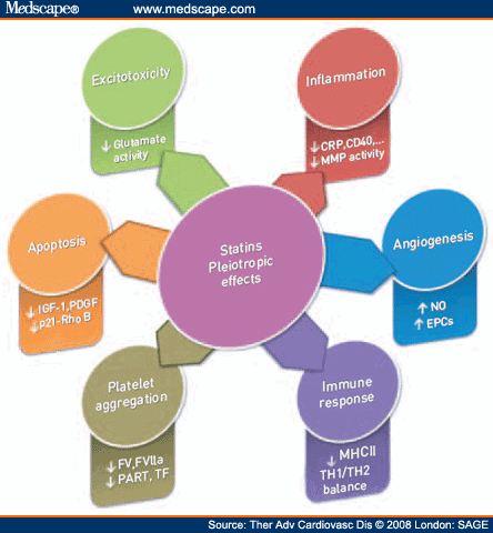 Pleiotropic effects of statins. Schematic view of the statins pleiotropic 