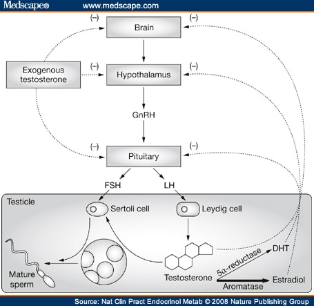 Low hormone levels in men