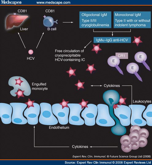 Gene Translocation