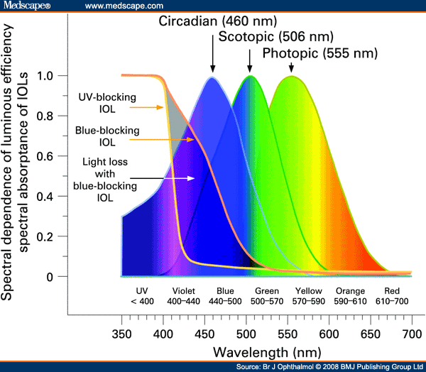 bjo582906.fig1.gif