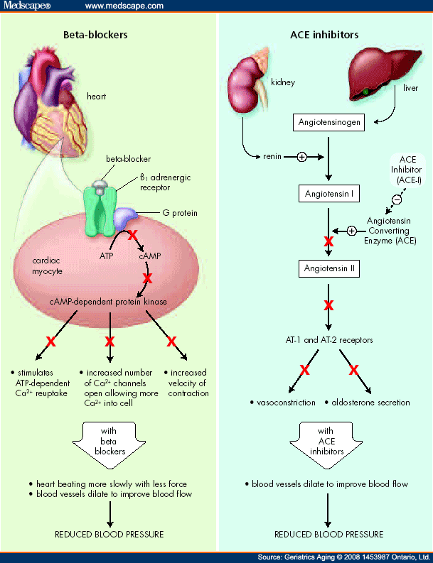 does lopressor affect blood pressure