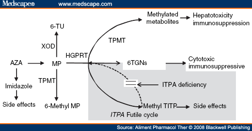 Inosine Triphosphate