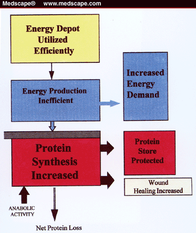 Anabolic Agents