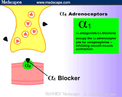 alpha 1 receptors