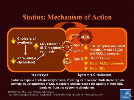 Aspirin Mechanism Of Action. statins mechanism of action