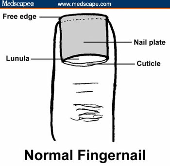 Nail Free Edge