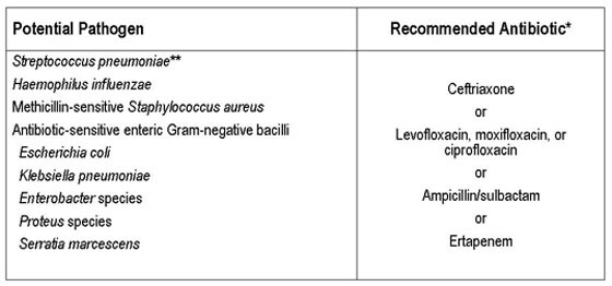 Levofloxacin Antibiotic Coverage