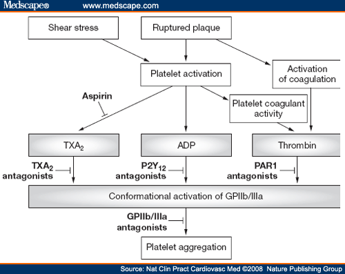 Interactions between Plavix Oral and.