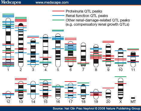 Quantitative Trait Loci