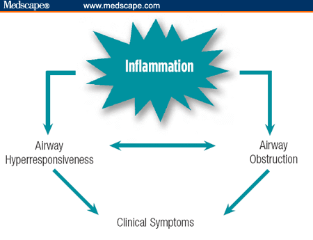 pathophysiology of asthma 2011