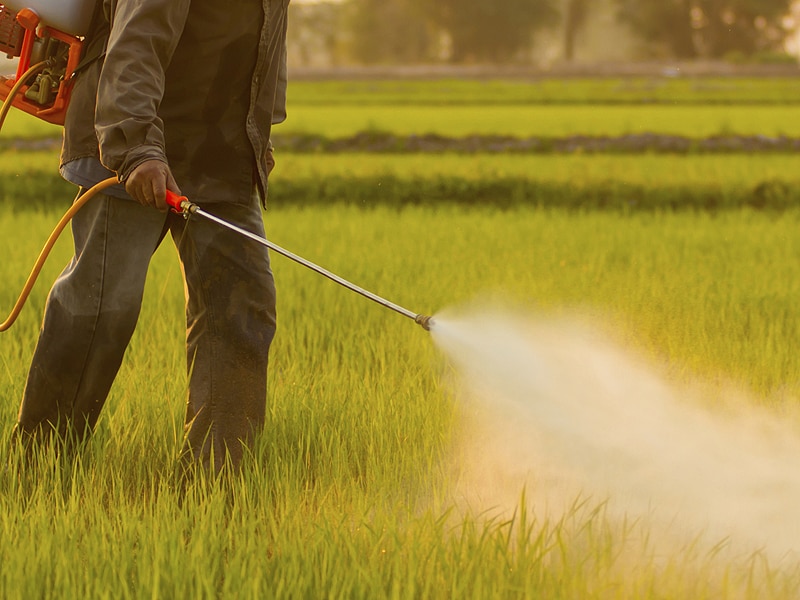 More Evidence Agricultural Pesticides Up Autism Risk