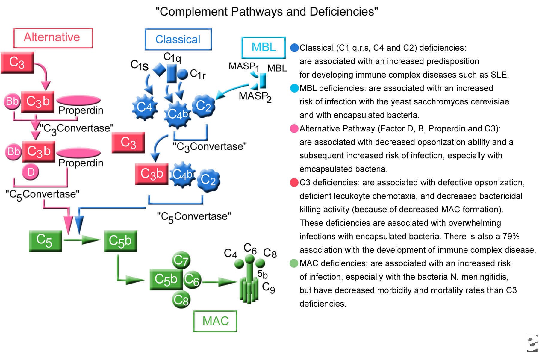 complement-c3d