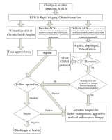 Suggested algorithm for triaging patients with ch...