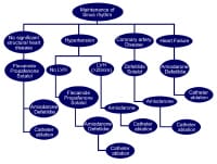 Antiarrhythmic drug algorithm for the medical man...