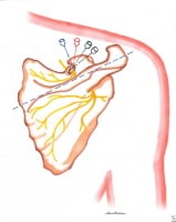 ear nerve block