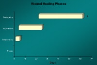 Wound healing phases.