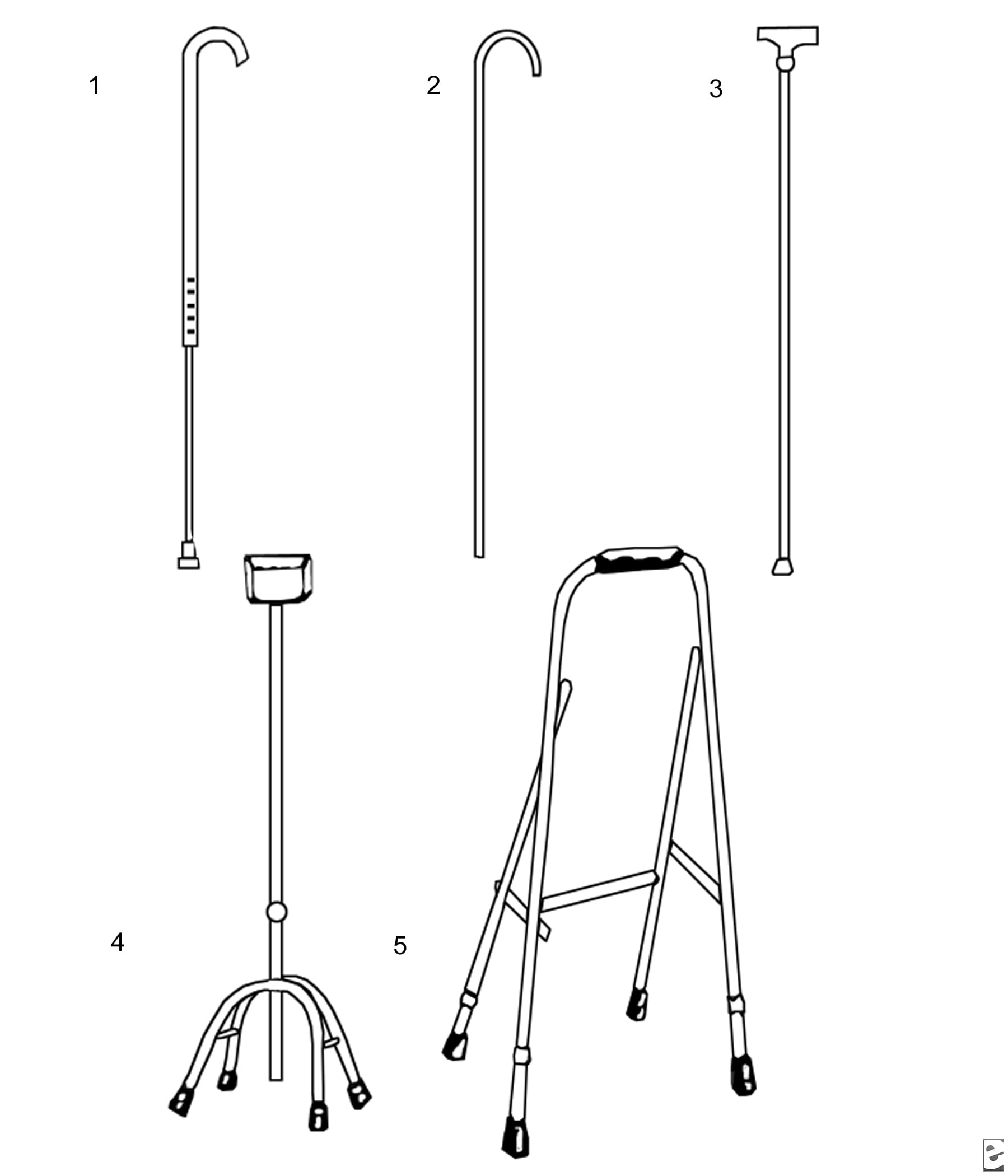 Rehabilitation Physical Therapy CHS AP Anatomy