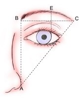 Brow Position