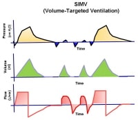 simv waveform