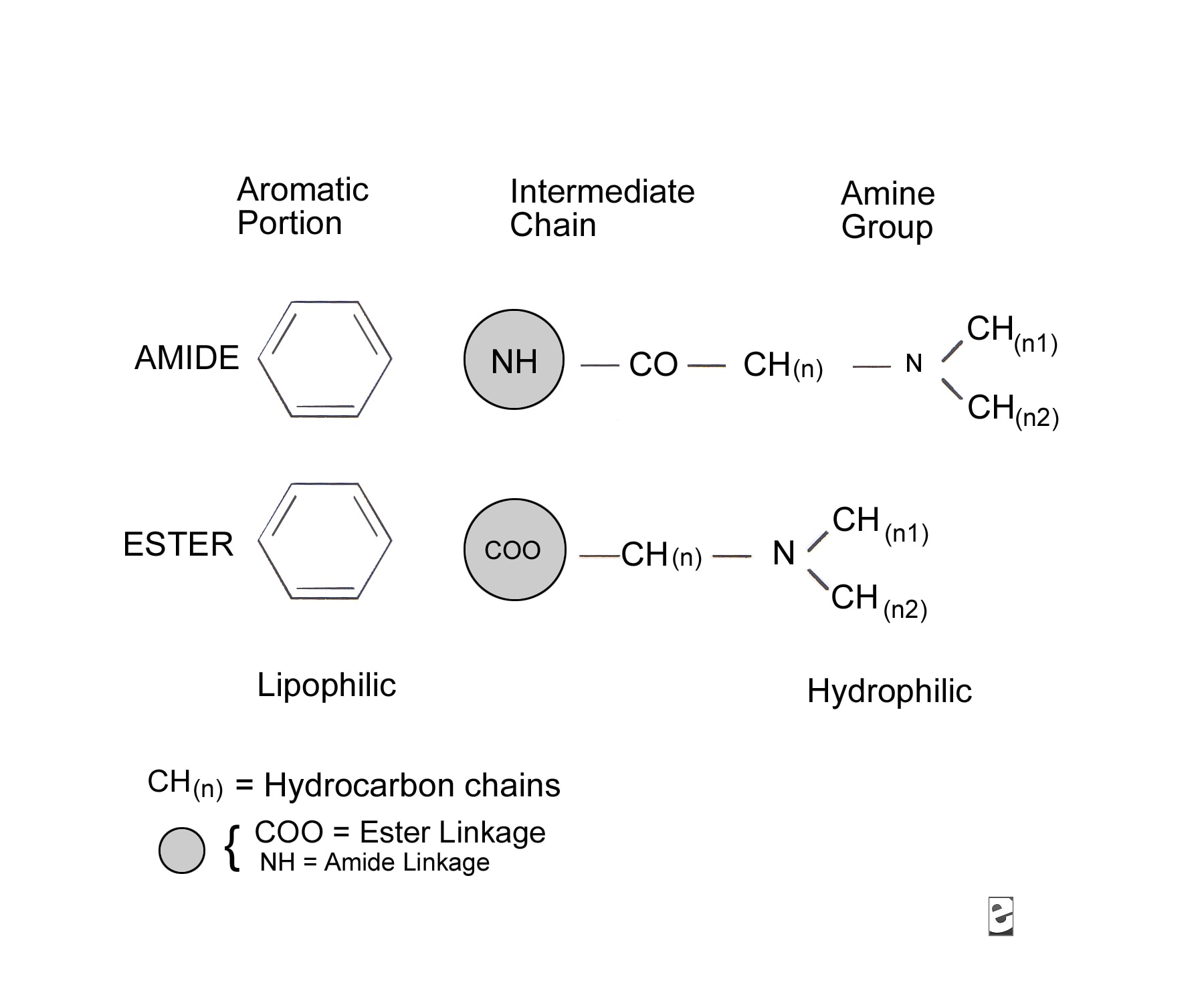 Molecular diagram.