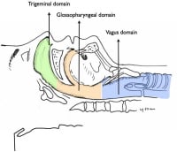 Anterior Ethmoidal Nerve