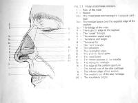 Nose anatomy. Image used with permission.
