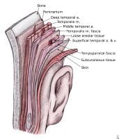 of the layers of the scalp