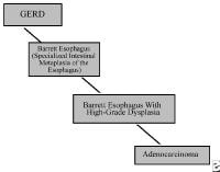 Gastroesophageal reflux disease (GERD)/Barrett es...
