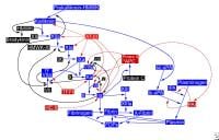 Factor VIII Factor VIII
