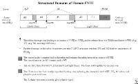 Factor VIII Factor VIII