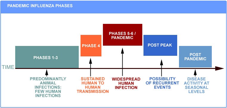 Phase 5 is characterized by human-to-human spread...