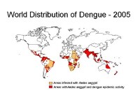 Dengue Infection Mechanism