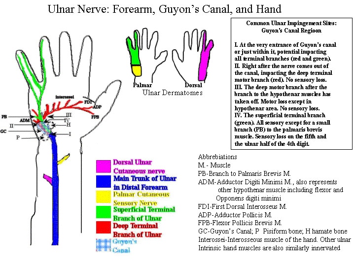 Comments on Question about hand nerve case