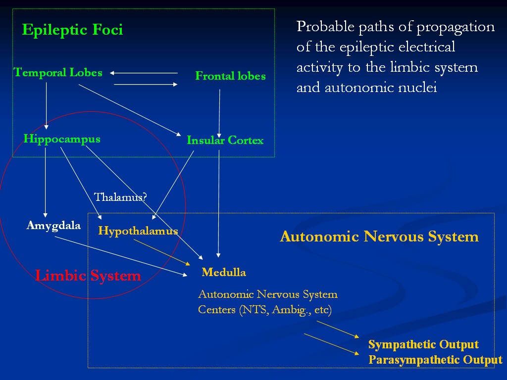 what is testicular hypofunction definition