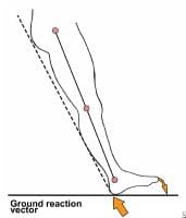 Diagram of the ground reaction vector during hee...