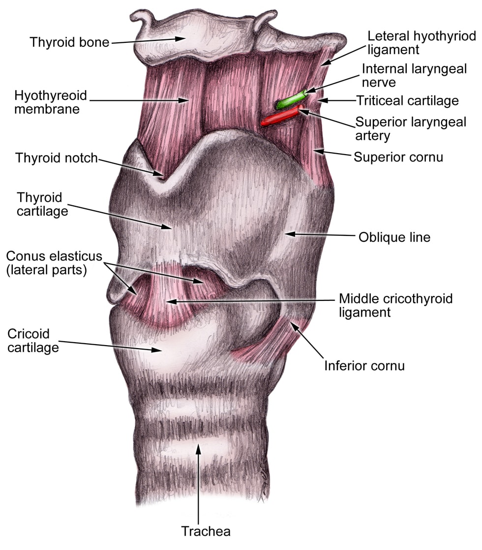 what-causes-edema-physiology-ignou-m-ed-entrance-syllabus-what-is