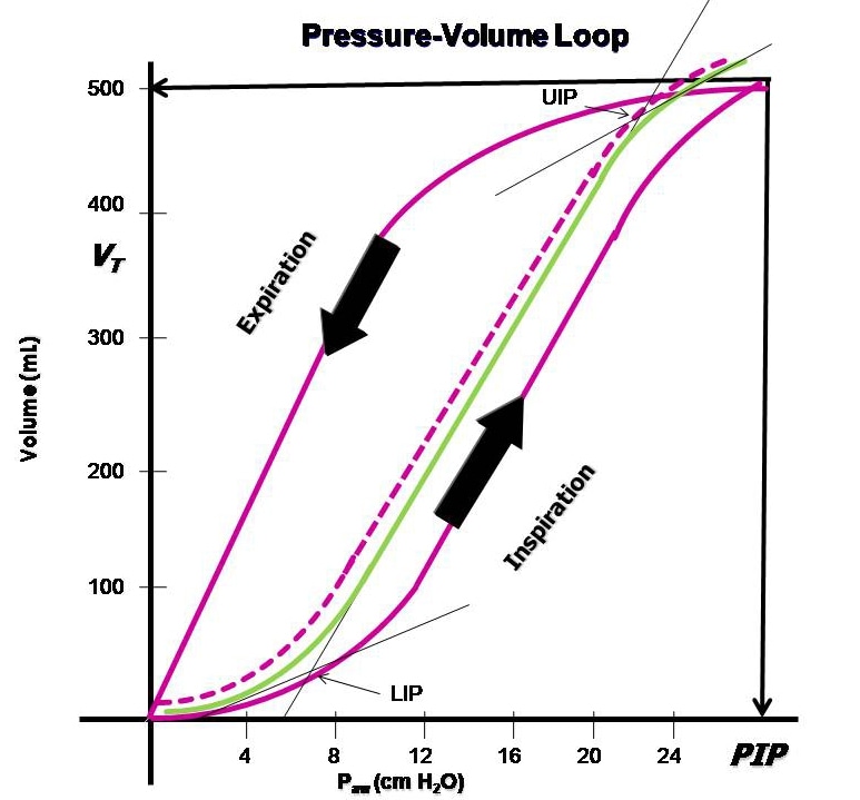 Biphasic Response Curve