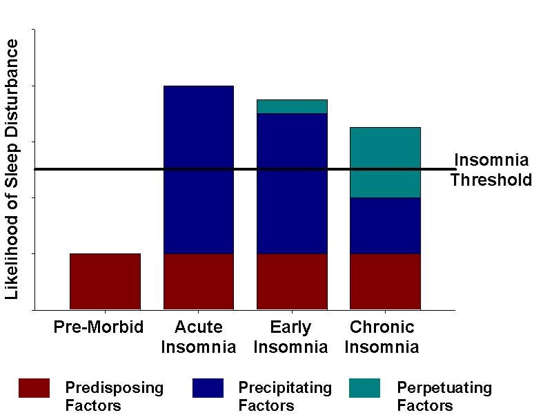 Theoretical model of the factors causing chronic insomnia.