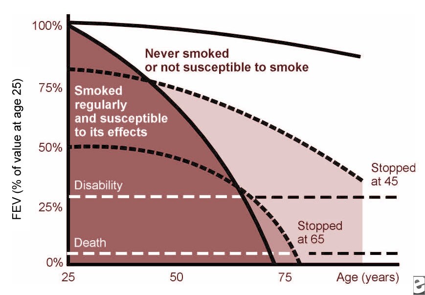smoking lungs diagram. Peto diagram demonstrates