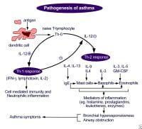 Asthma treatment. Asthma causes and symptoms. Anti