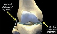 The medial and lateral collateral ligaments of the