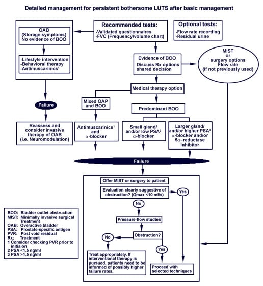 Benign prostatic hyperplasia (BPH) diagnosis and treatment algorithm.