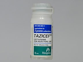 Fortaz Tazicef Ceftazidime Dosing Indications Interactions