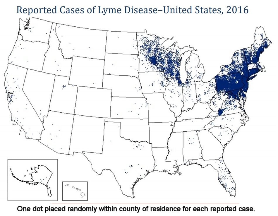 West Nile Rash