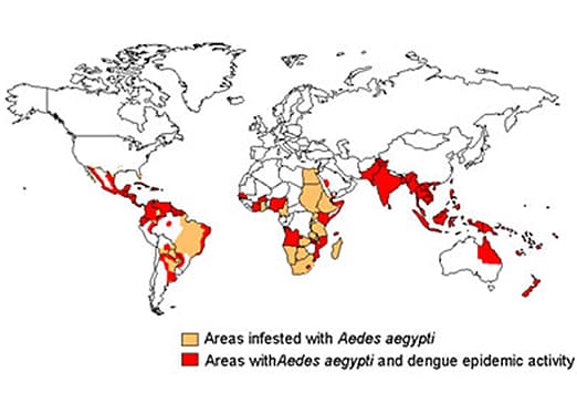 Malaria World Distribution