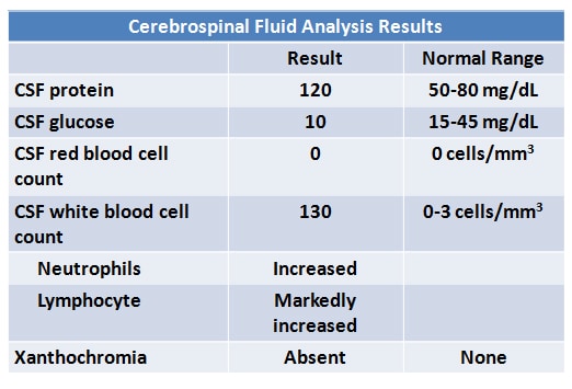 viral vs bacterial meningitis csf findings